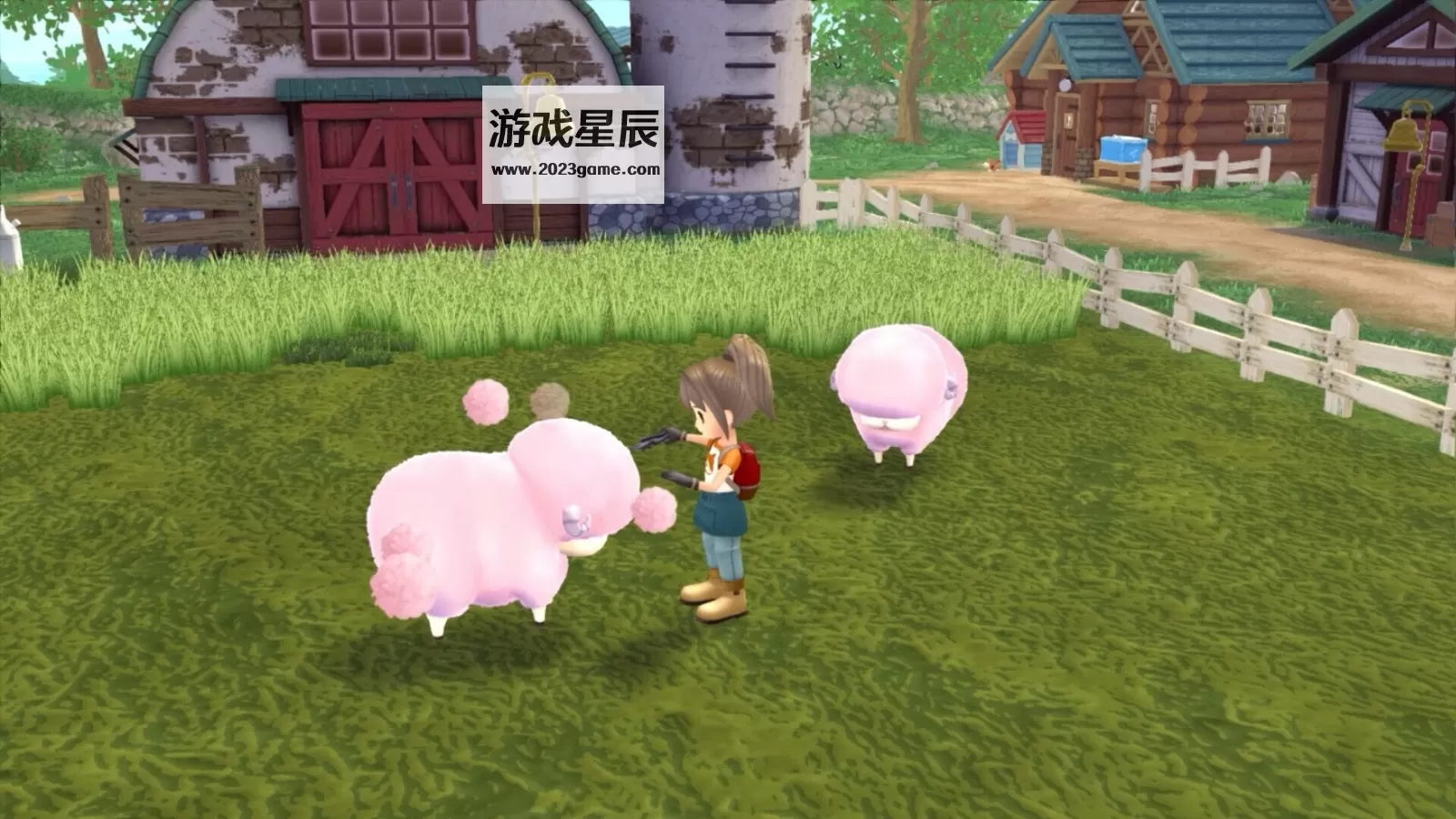 PC《牧场物语 Welcome! 美丽人生 STORY OF SEASONS A Wonderful Life》中文版下载_3