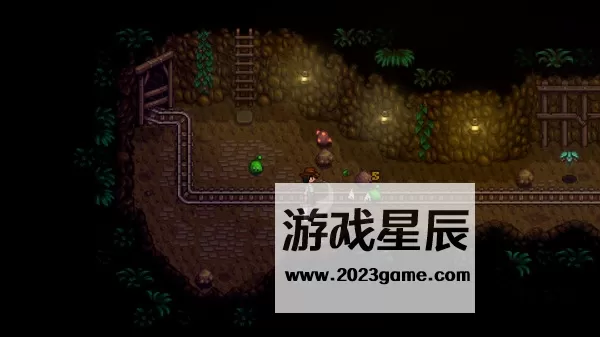 switch《星露谷物语(Stardew Valley)》中文版nsz下载+1.6.36补丁_6