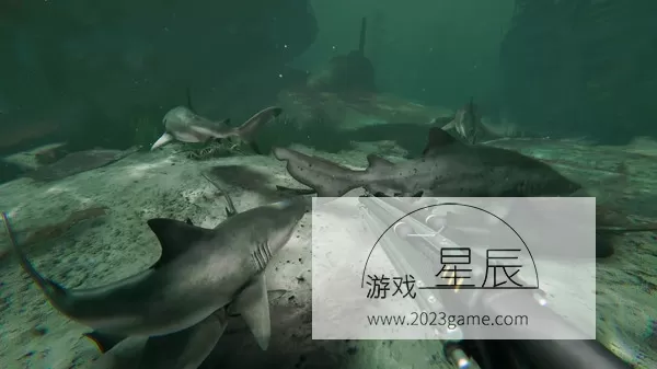 PC《死在水中1+2 Death in the Water 1+2》中文版下载v1.0.5_4