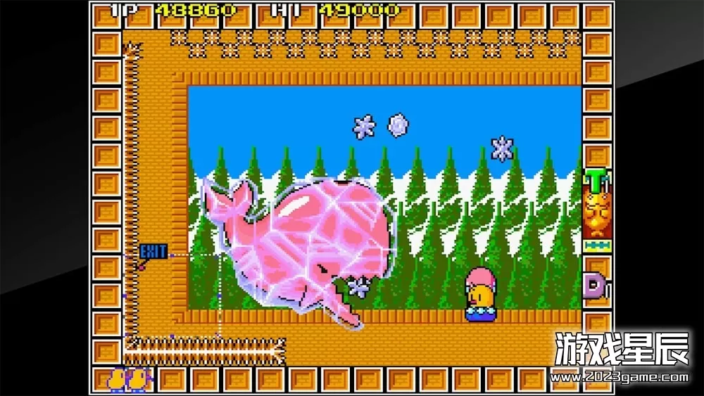 switch《街机博物馆：新西兰故事 Arcade Archives THE NEWZEALAND STORY》英文版nsp下载