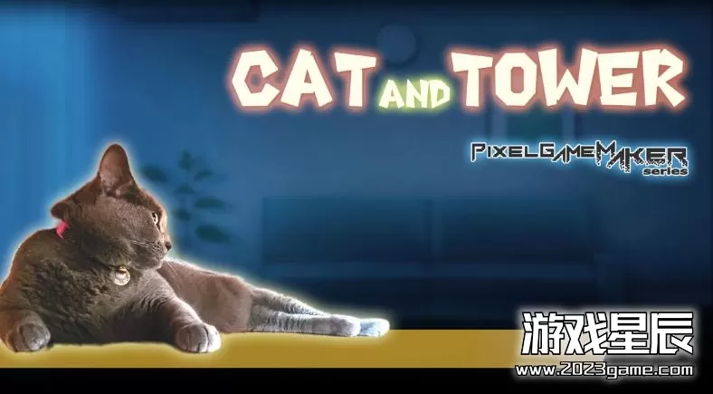 switch《像素游戏制作大师系列 CAT AND TOWER Pixel Game Maker Series CAT AND TOWER》英文版nsp下载