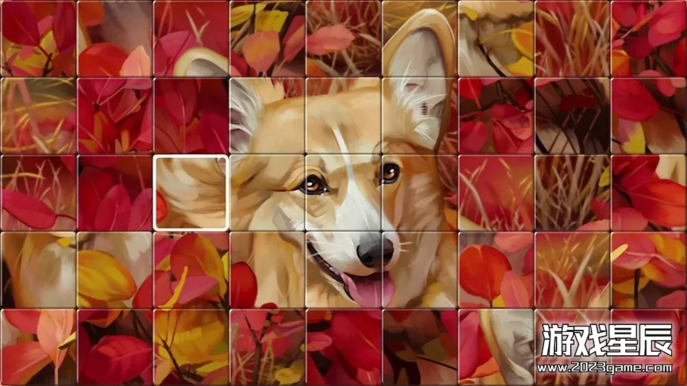 switch《互换拼图 Swap Puzzles》英文版nsp下载_1