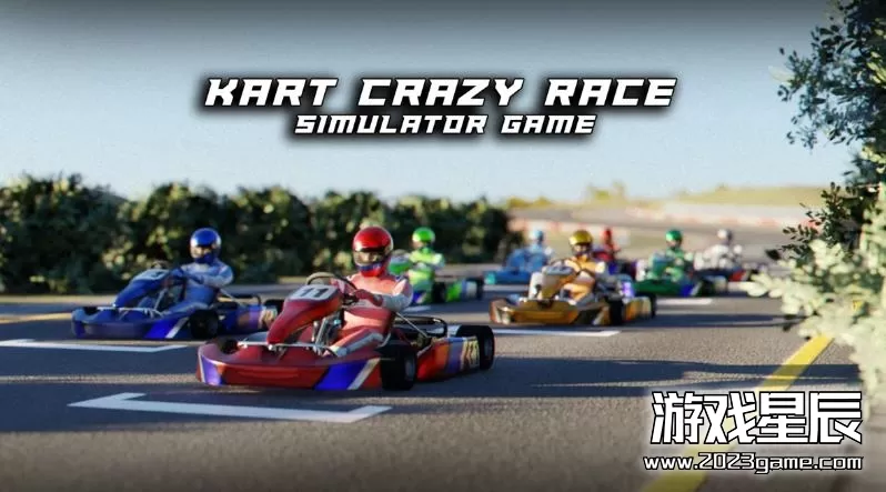 switch《卡丁车疯狂赛车模拟器 Kart Crazy Race Simulator Game》英文版nsp下载