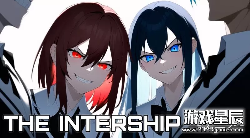 switch《船际 The Intership》英文版nsp下载