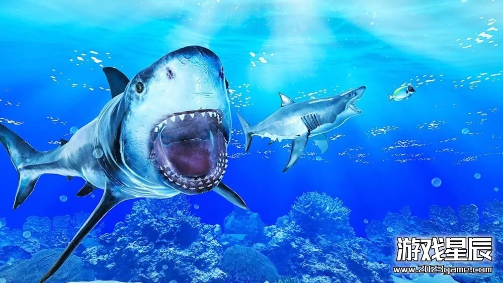 switch 《鲨鱼攻击：鱼类捕食者 Shark Attack: Fish Predator Ocean Sea》英文版nsp下载