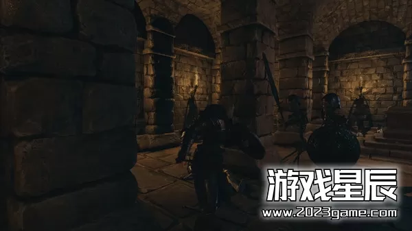 PC《黑荆棘角斗场 Blackthorn Arena》中文版下载【v2.06版|集成全DLC】_3