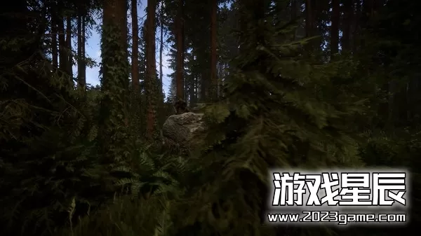 PC《森林之子 Sons Of The Forest》中文版下载v47848a_3