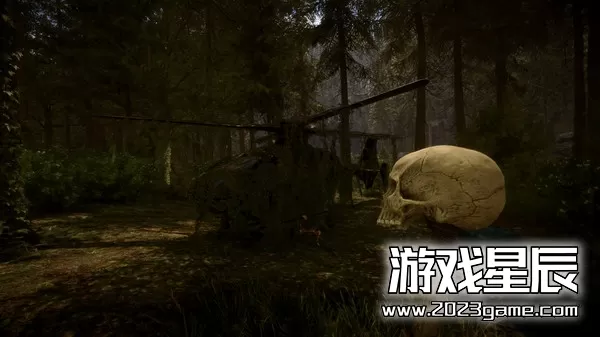 PC《森林之子 Sons Of The Forest》中文版下载v47848a_4