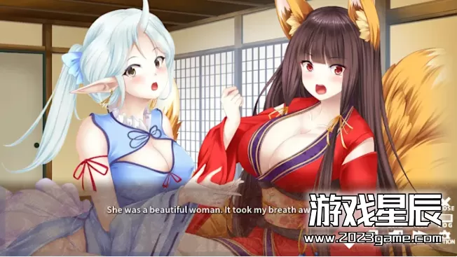 switch《没落阴阳绘卷- 堕落阴阳师的故事 -（没落陰陽絵巻 - Tale of the fallen Onmyoji -）》中文版nsp下载_2