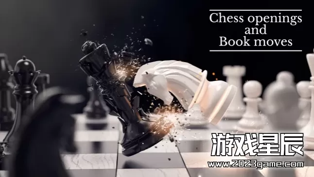 switch《国际象棋开局和棋局（Chess Openings and Book Moves）》英文版nsp下载