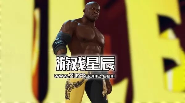 【5.05】PS4《WWE 2K23》英文版PKG下载【1.16补丁+12DLC】_3
