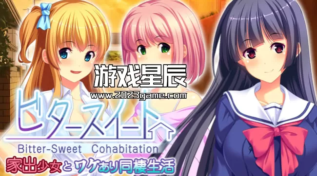 switch《苦乐参半的同居(Bitter-Sweet Cohabitation - ビタースイート - 家出少女とワケあり同棲生活 -)》中文版nsp下载