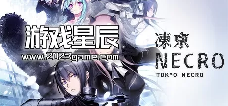 PC《凍京NECRO Tokyo Necro》英文版下载v1.01s版
