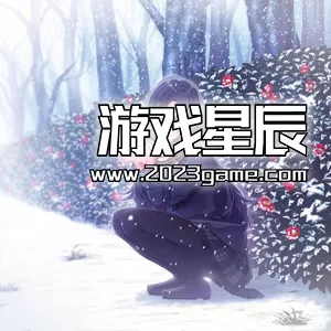 switch《雪色暗号 ~Yukiiro Sign》中文版nsz下载+1.0.1补丁_3