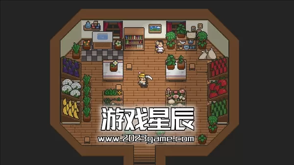 switch《奥术谷 Arcane Vale》中文版nsz下载_2