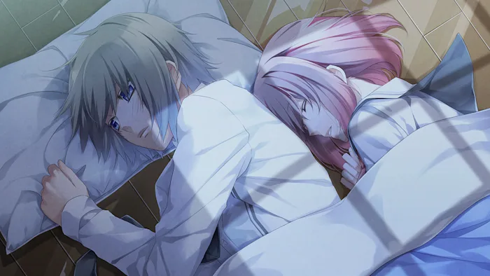 switch《命运九重奏 Norn9 Var Commons》英文版nsp下载_1