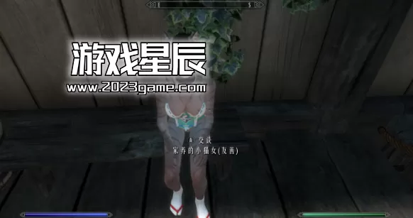 【精品MOD整合版-含本体】switch《上古卷轴5 The Elder Scrolls V》不一样的天际AC版+英雄战魂威力加强版+百鬼篇+天际幻想MOD版下载_5