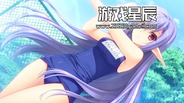 switch《被神与魔同时盯上的男人-SHUFFLE!エピソード2～神にも悪魔にも狙われている男～》汉化版nsp下载_2