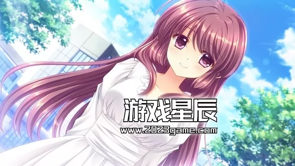 switch《被神与魔同时盯上的男人-SHUFFLE!エピソード2～神にも悪魔にも狙われている男～》汉化版nsp下载_5