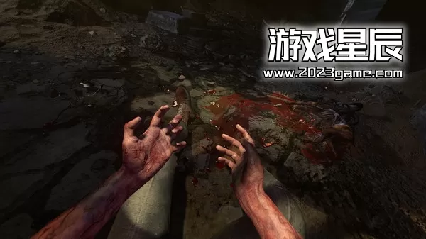 switch《失忆症合集 Amnesia Collection》中文汉化版下载【含1.1补丁+汉化补丁】_0