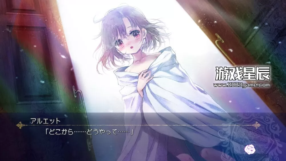 switch《永恒少女~堕落之园的少女们 エヴァーメイデン ～堕落の園の乙女たち～》日文正式版nsp下载_2
