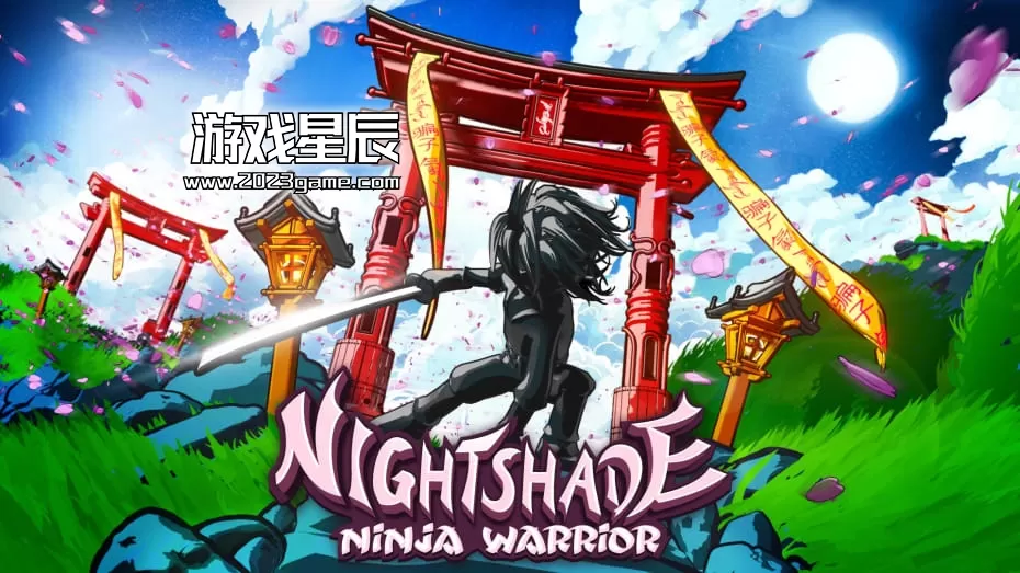 switch《夜影忍者战士 Nightshade Ninja Warrior》英文版nsp下载