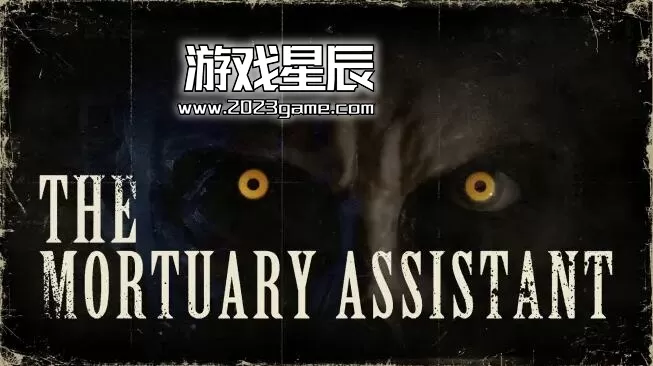 switch《太平间助手（The Mortuary Assistant）》英文版nsp下载