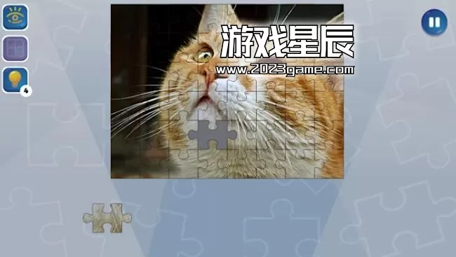 switch《拼图狂热（Jigsaw Puzzle Fever）》英文版nsp下载_1