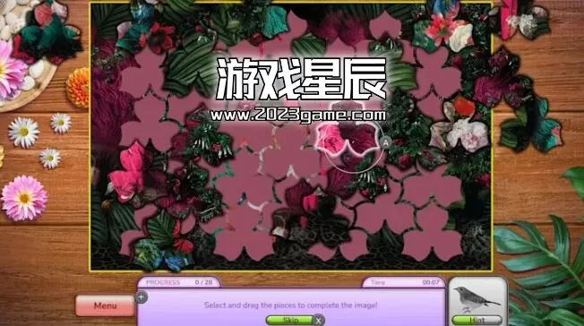switch《我喜欢寻找鸟类收藏版（I Love Finding Birds Collector's Edition）》英文版nsp下载_2