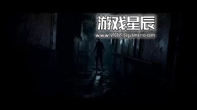 switch《黑相集：棉兰号 The Dark Pictures Anthology Man Of Medan》中文版nsz下载+画质MOD_2