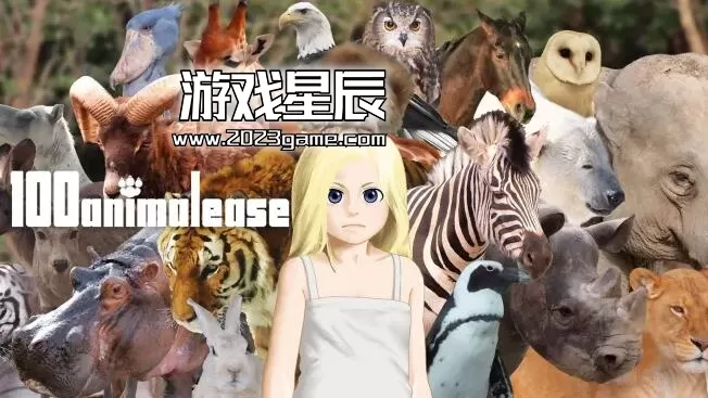 switch《100个动物（100animalease）》英文版nsp下载
