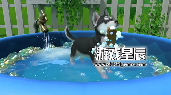 PC《小朋友：小狗岛（Little Friends: Puppy Island）》中文版下载_2