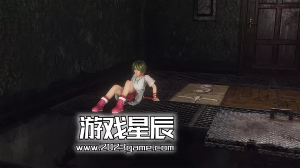 【6.72】PS4 VR《最后的迷宫 Last Labyrinth -Lucidity Lost》中文版PKG下载+1.06补丁_3