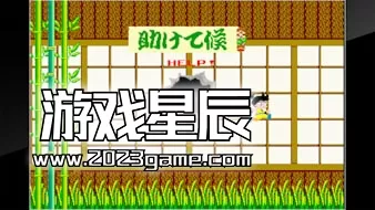 switch《快杰洋枪 Arcade Archives Kid Niki Radical Ninja》英文版nsp下载_4