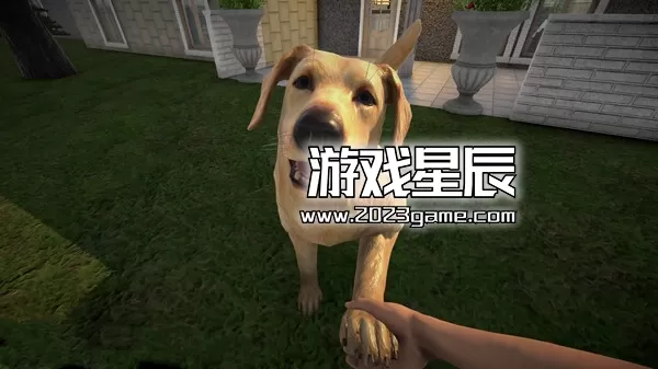 PC《宠物旅馆 Pets Hotel》中文版下载v1.0.5