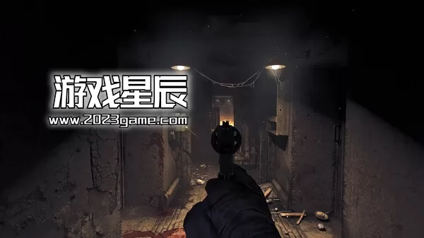 PC《失忆症:地堡(Amnesia: The Bunker)》中文版下载_3