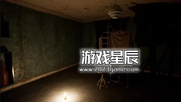 PC《不存在的鸟 Birds Aren't Real》中文版下载_1