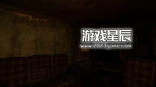 PC《不存在的鸟 Birds Aren't Real》中文版下载_0