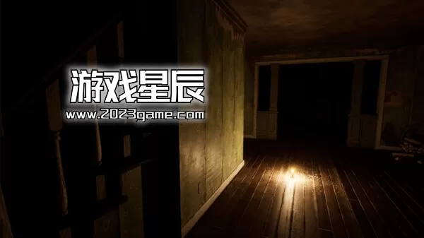 PC《不存在的鸟 Birds Aren't Real》中文版下载_4