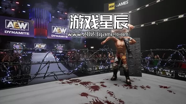 【5.05】PS4《全精英摔角：永远战斗 AEW Fight Forever》中文版PKG下载【含1.09补丁+9DLC】_3