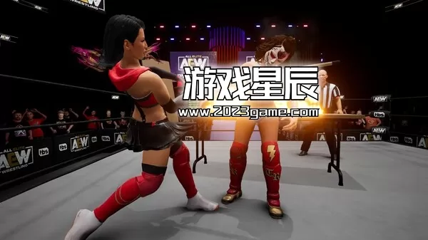 【5.05】PS4《全精英摔角：永远战斗 AEW Fight Forever》中文版PKG下载【含1.09补丁+9DLC】