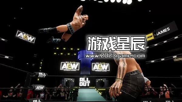 【5.05】PS4《全精英摔角：永远战斗 AEW Fight Forever》中文版PKG下载【含1.09补丁+9DLC】_1