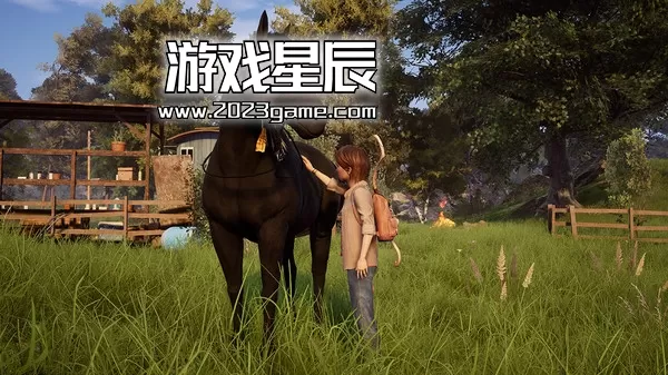 【5.05】PS4《风暴：意外的到来 Windstorm: An Unexpected Arrival》英文版PKG下载+1.04补丁_4
