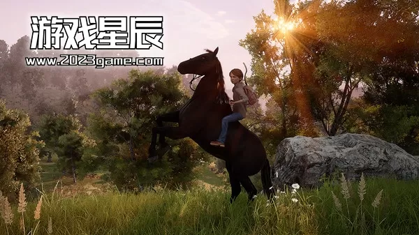 【5.05】PS4《风暴：意外的到来 Windstorm: An Unexpected Arrival》英文版PKG下载+1.04补丁_0