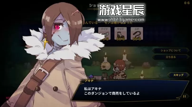 switch《人偶探险家 Doll Explorer》中文版nsz下载+1.0.5补丁_1