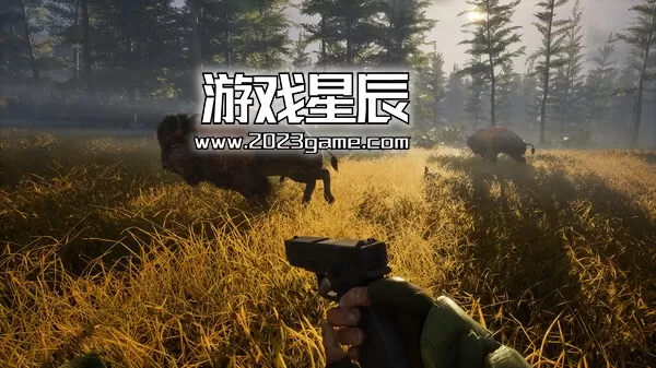 PC《大脚怪 BIGFOOT》中文版下载_3