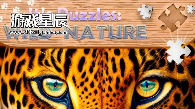 switch《这是谜题：野性（It's Puzzles: Wild Nature）》英文版nsp下载