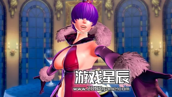 PC《SNK女中豪杰：狂暴双打 SNK HEROINES Tag Team Frenzy》中文版下载_0