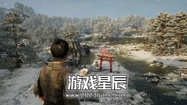 PC《战国王朝 Sengoku Dynasty》中文抢先体验版下载_4