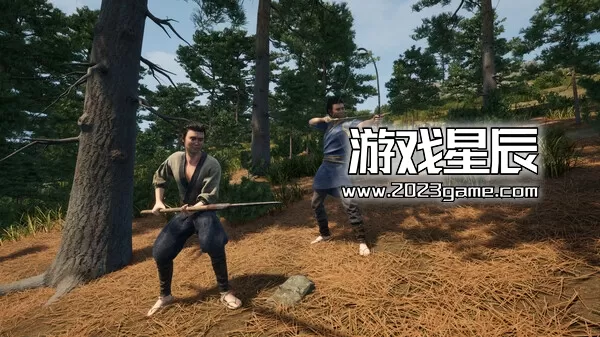 PC《战国王朝 Sengoku Dynasty》中文抢先体验版下载_2